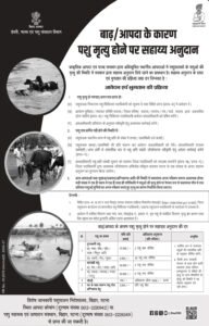 Bihar Badh Pashu Chhati Anudan 2026