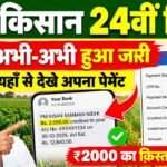 PM Kisan 24th Installment Payment Out : पीएम किसान 24वीं क़िस्त का पैसा अभी-अभी हुआ जारी, यहाँ से देखे अपना पेमेंट 9 PM Kisan 24th Installment Payment Out : पीएम किसान 24वीं क़िस्त का पैसा अभी-अभी हुआ जारी, यहाँ से देखे अपना पेमेंट