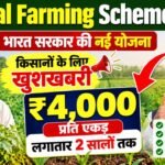 Natural Farming Scheme 2026: भारत सरकार की नई योजना – किसानों के लिए खुशखबरी, मिलेगा ₹4,000 प्रति एकड़ लगातार 2 सालों तक 14 Natural Farming Scheme 2026: भारत सरकार की नई योजना – किसानों के लिए खुशखबरी, मिलेगा ₹4,000 प्रति एकड़ लगातार 2 सालों तक